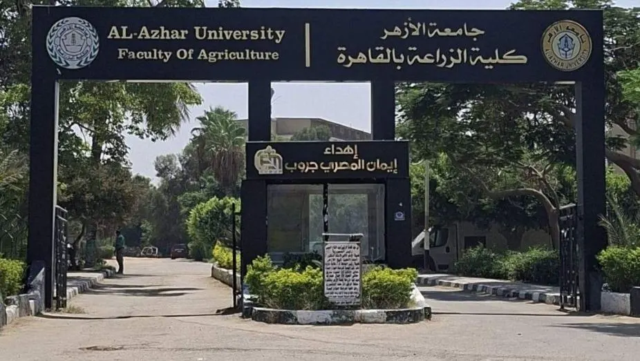স্কলারশিপ